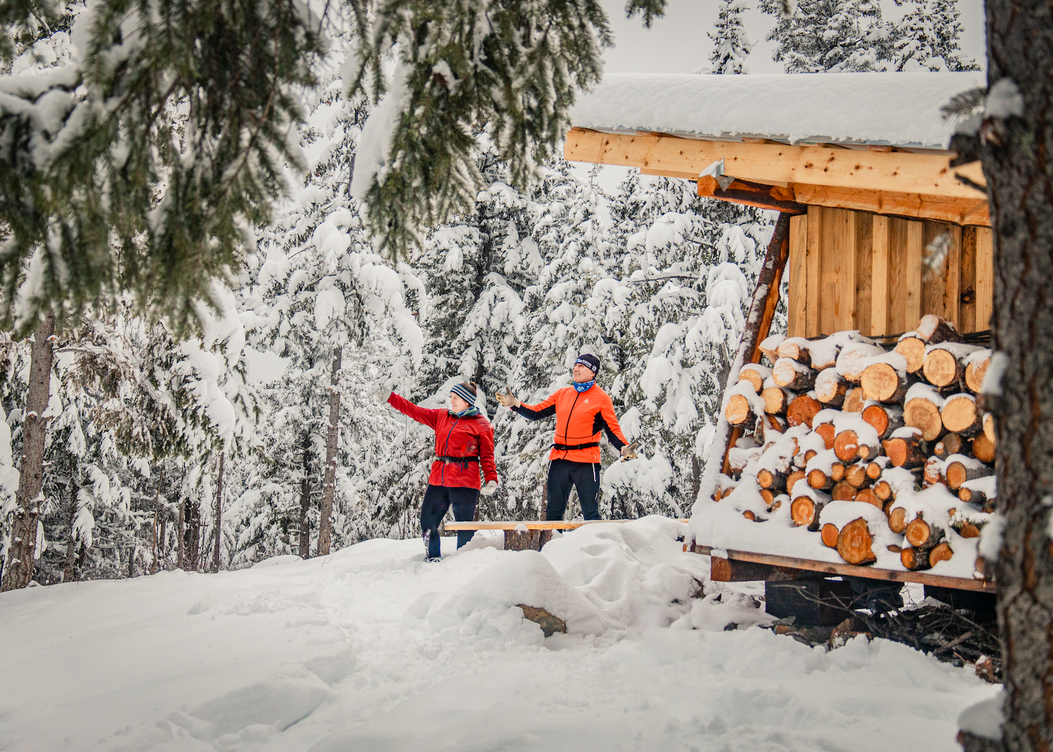 Go north for Nordic on growing QuesnelWells crosscountry ski trail